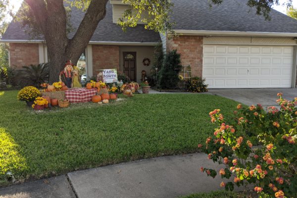 October 2020 – Yard of the Month Winner!